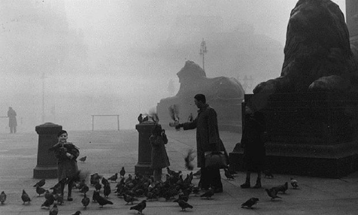 5th December 1952:  A family feeding the famous pigeons on a foggy morning in London's Trafalgar Square, in front of two of Landseer's lions.  (Photo by M. Fresco/Topical Press Agency/Getty Images)