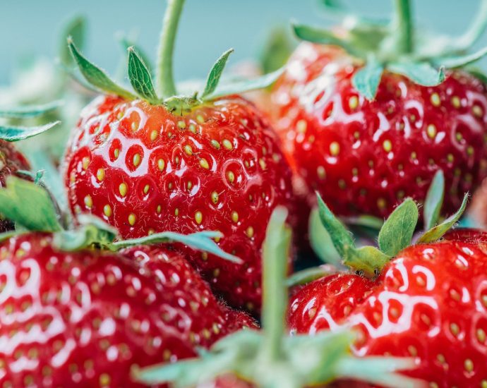 closeup photo of strawberry fruits