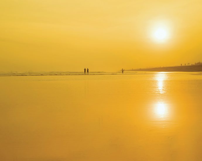 shore during golden hour