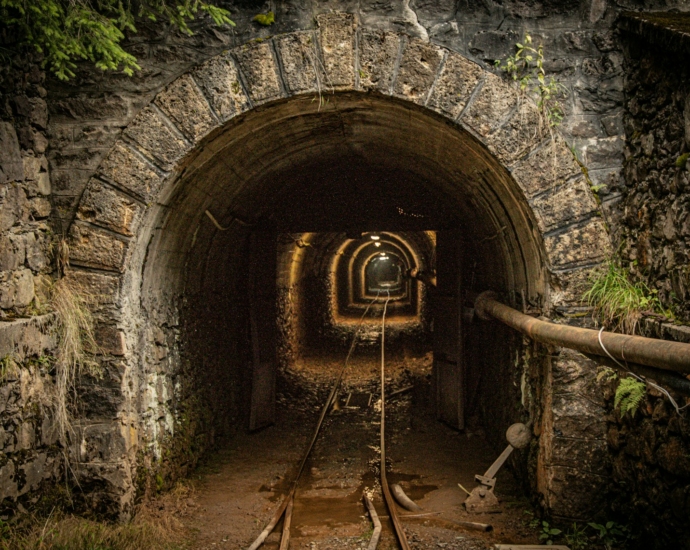 brown wooden ladder on tunnel
