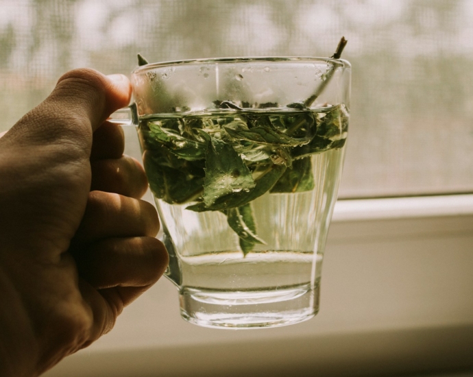 person holding clear drinking glass with green leaves
