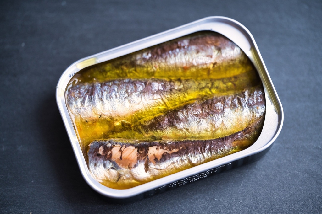 sardines, fish, food
