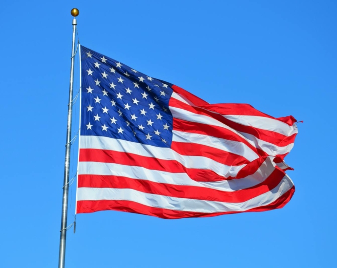 Person Showing Usa Flag