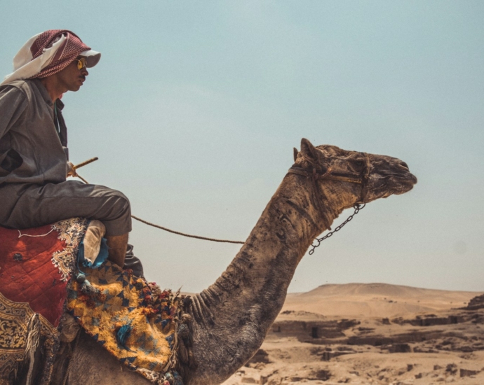 man riding on brown camel close-up photography