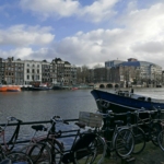 a row of bikes parked next to a body of water