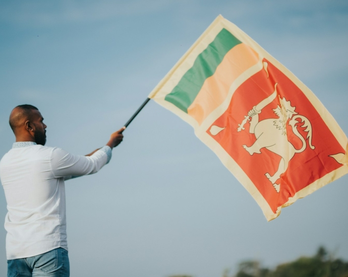 a man holding a flag with a lion on it