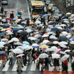 people using umbrella while crossing on road