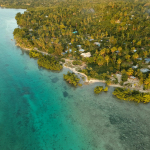 aerial view of green trees and body of water during daytime