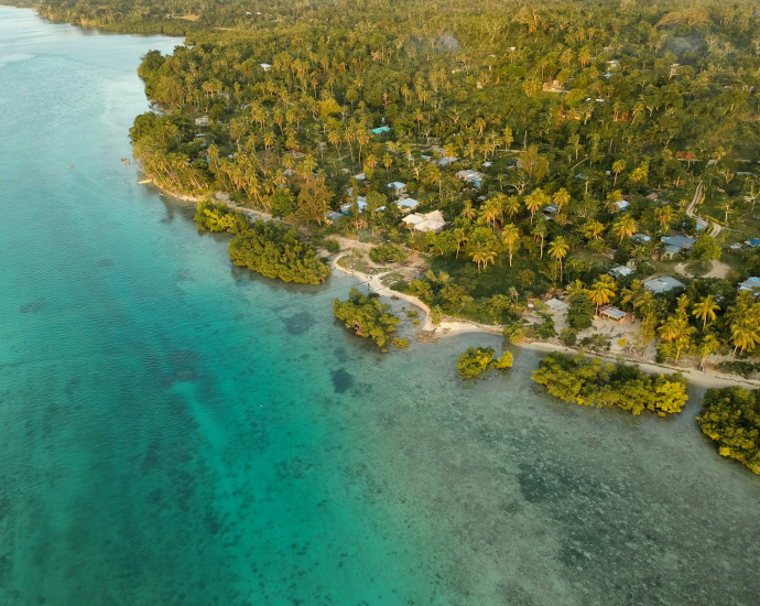 aerial view of green trees and body of water during daytime