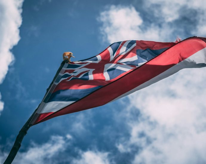 waving Hawaii falg