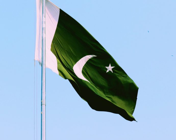 white and green flag