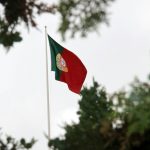 red yellow and green flag