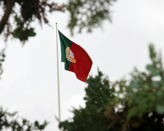 red yellow and green flag
