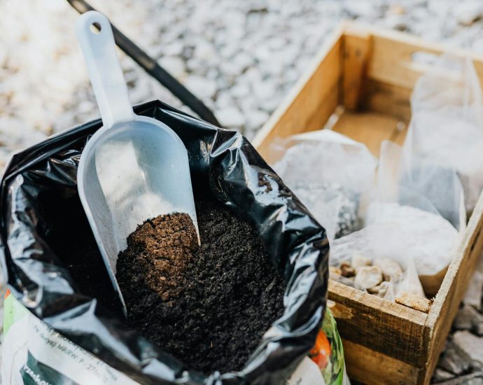 Close-up of gardening essentials with soil scoop, bag, and wooden box in garden setting.