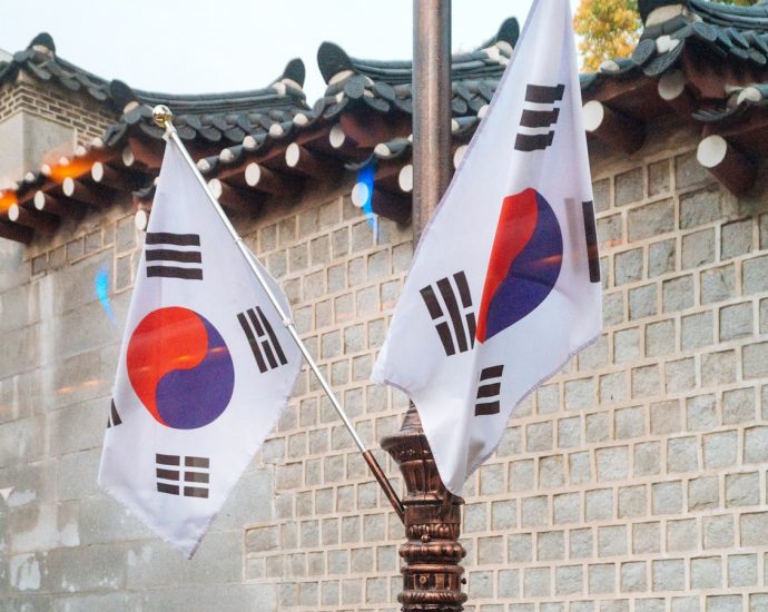 two Korea National flags