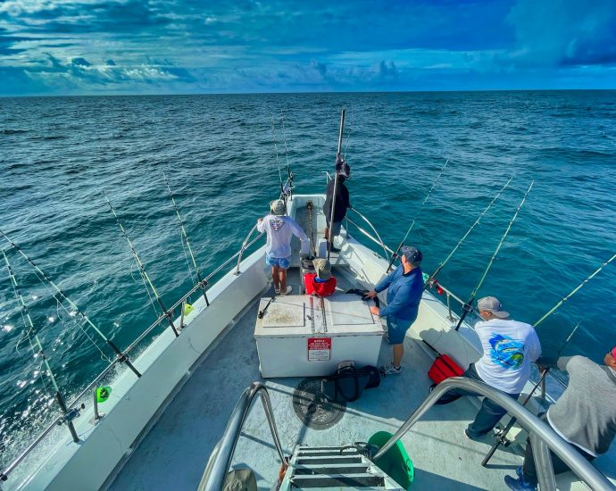 people riding on white boat during daytime