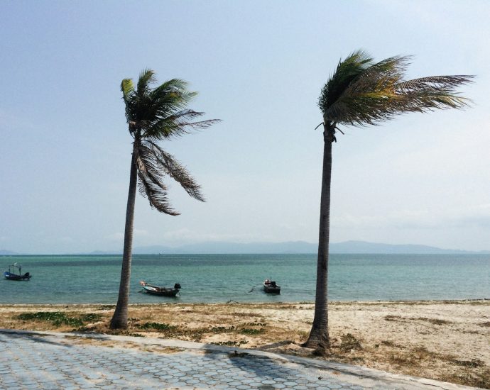 two palm trees blowing in the wind on a beach