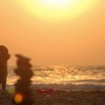 golden retriever sitting on beach shore during sunset