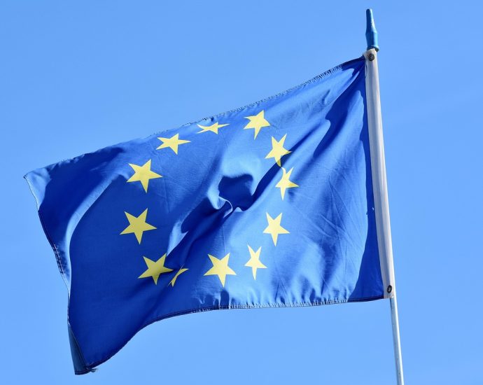 banner, flag, europe, european flag, stars, eu, countries, european, states, country, euro, eu flag, collaboration, international, brussels, euro star, euro sign, blue, euro, euro, eu flag, eu flag, eu flag, eu flag, eu flag