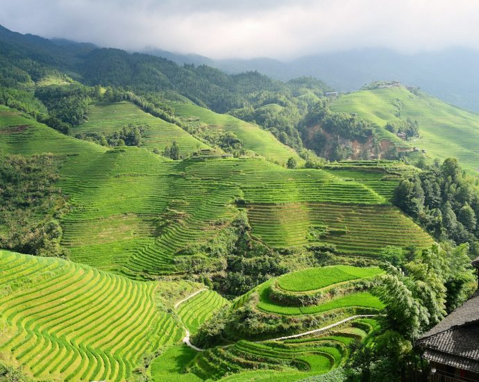 landscape of mountain