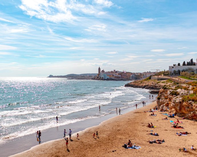 people on beach during daytime