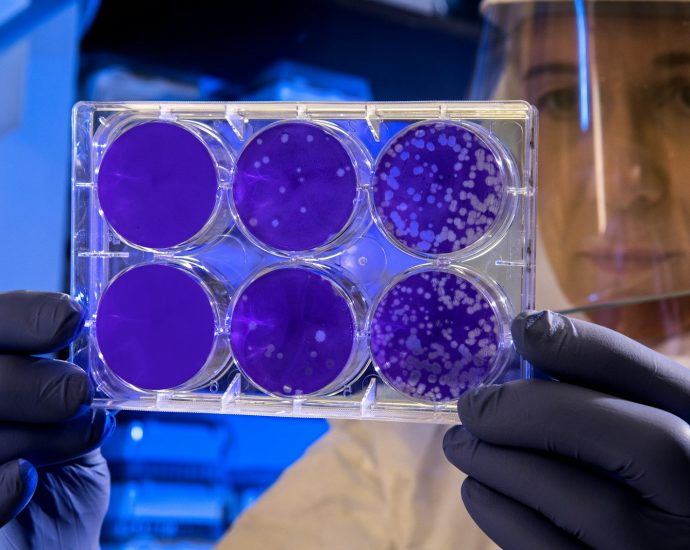 woman holding laboratory appratus