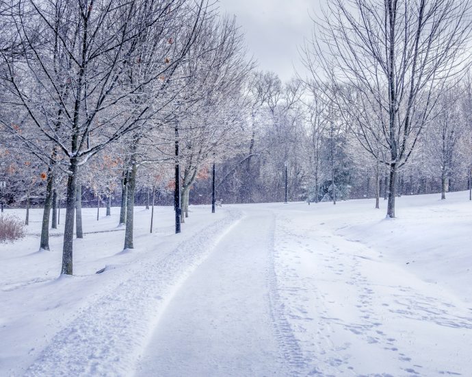 snow covered road between bare trees under cloudy sky during daytime