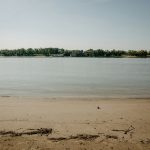 a beach with trees in the background