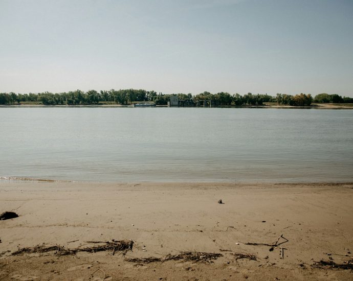 a beach with trees in the background