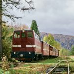 a red train traveling down train tracks next to a forest