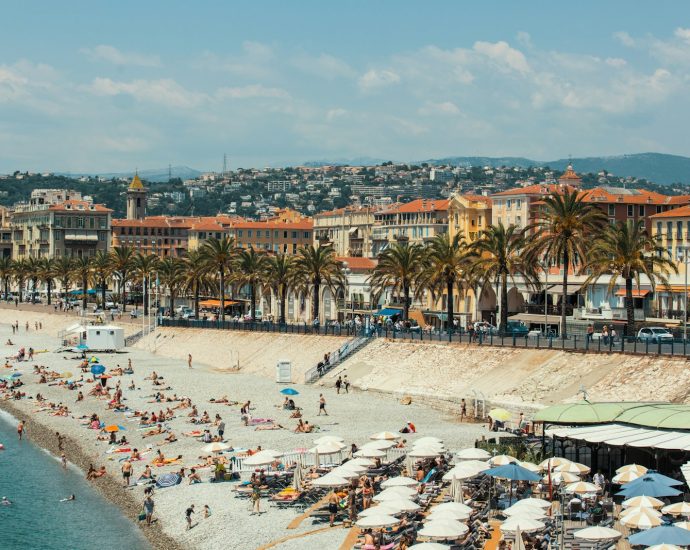 people in beach during daytime