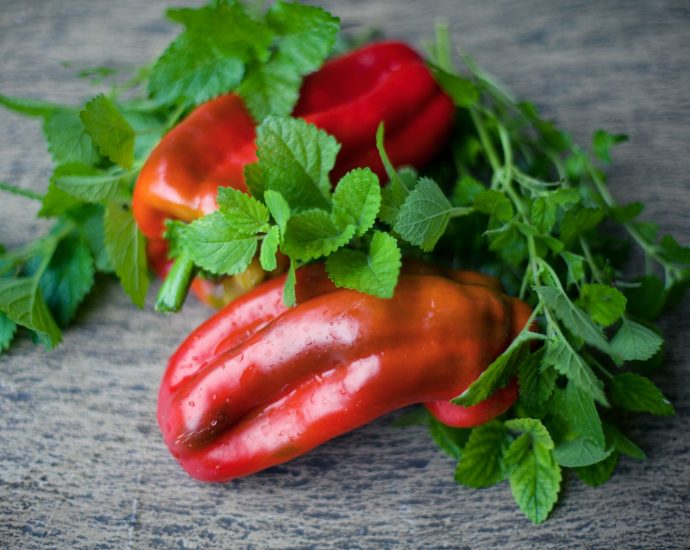 a group of red peppers with green leaves
