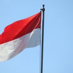 white red and black striped flag