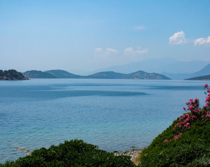 a body of water with hills in the background