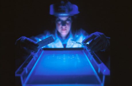 woman doing research while holding equipment