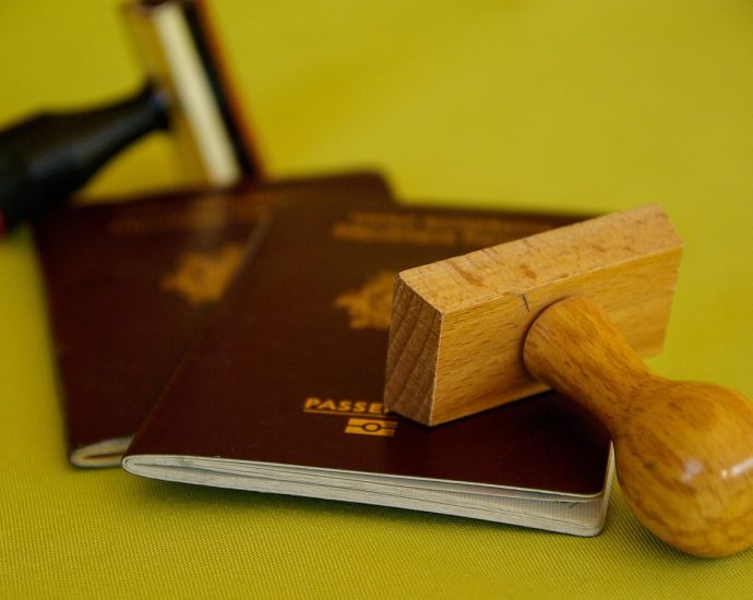 buffer, passport, travel, borders, passport, passport, passport, passport, passport