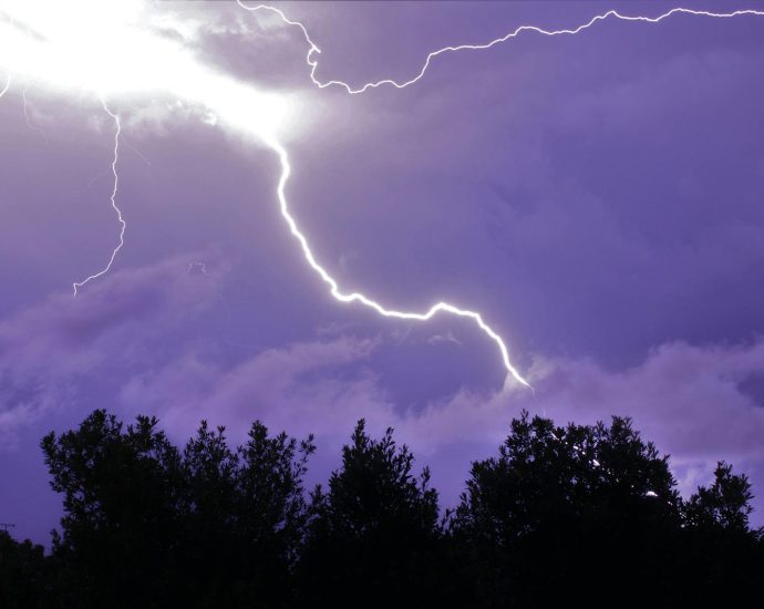 A powerful lightning bolt illuminates the night sky over silhouetted trees, showcasing nature's raw power.