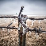 A barbed wire fence with icicles hanging from it