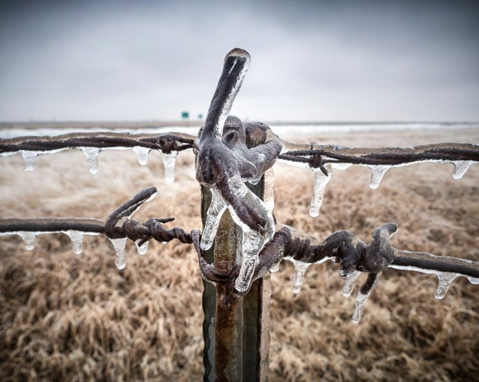 A barbed wire fence with icicles hanging from it