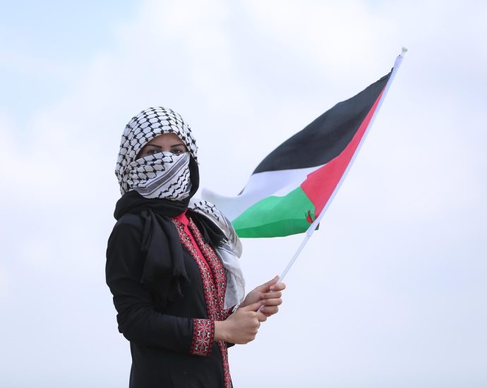 palestinian woman, hijab, flag of palestine, palestinian flag, woman, hijab, palestinian flag, palestinian flag, palestinian flag, palestinian flag, palestinian flag