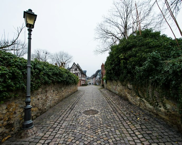 a cobblestone street with a lamp post in the middle