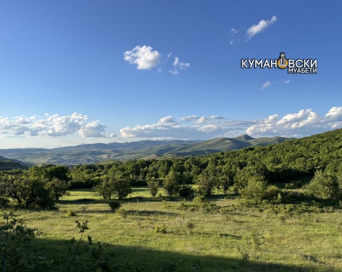 прогноза куманово