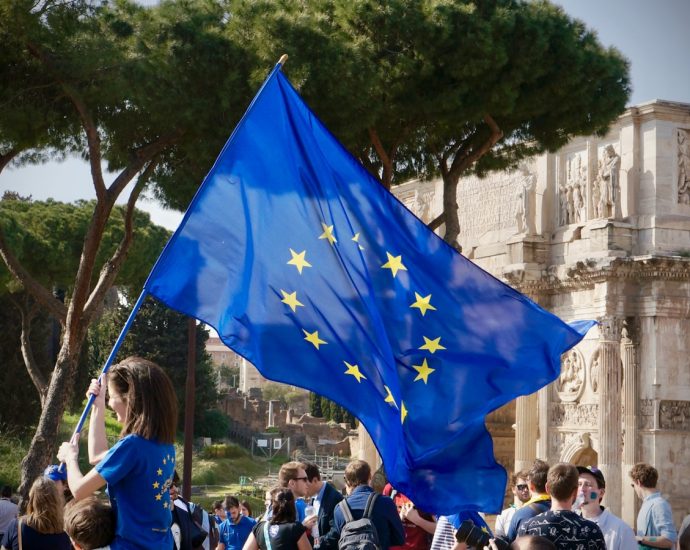 a young girl holding a european flag in front of a crowd of people