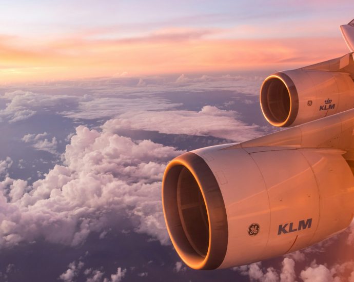 white air plane wing