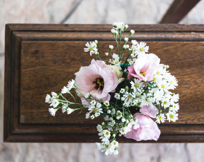 pink and white flowers