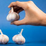 Hand holding garlic over two bulbs on blue