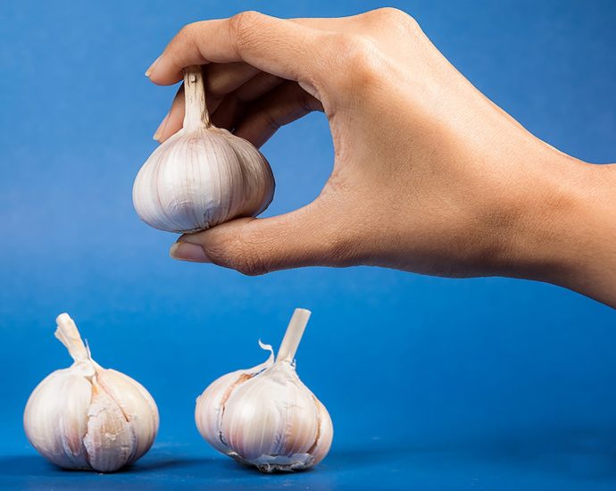 Hand holding garlic over two bulbs on blue