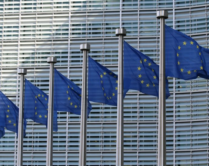 blue and white flags on pole