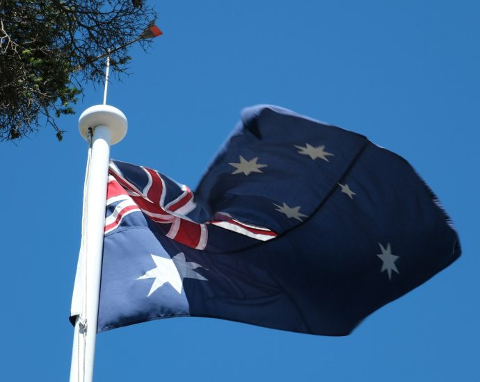 A flag flying high in the sky next to a tree