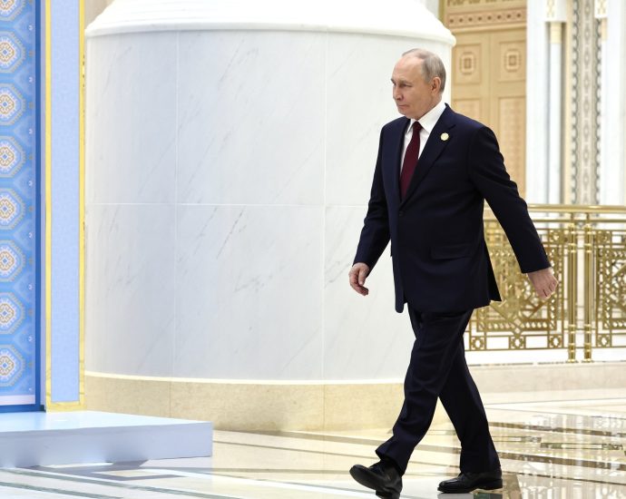 путин двојници